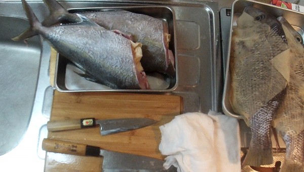 How to prepare fish for aging